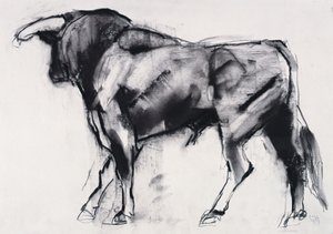 Toro Azul, study by Mark Adlington