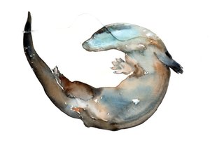 Unknown Title by Mark Adlington