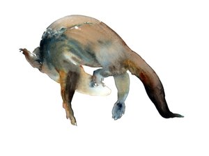 Unknown Title by Mark Adlington