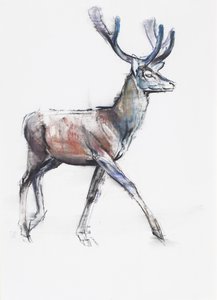Velvet, 2006 by Mark Adlington