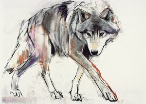 Wolf by Mark Adlington