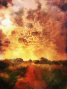 Country Lane Sunrise by Mark Gordon