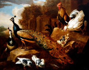 Peacocks, Doves, & Other Birds and a Classical Building