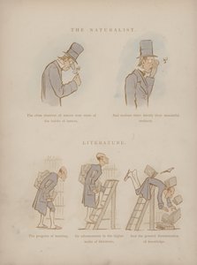 Page from the Humours of Cynicus by Martin  Anderson