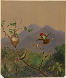 Brazilian Hummingbirds III by Martin Johnson Heade
