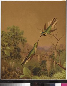 Brazilian hummingbirds IV by Martin Johnson Heade
