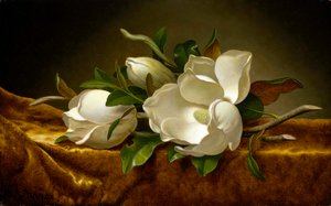 Magnolias on Golden Velvet Cloth