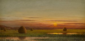 Marshlands by Martin Johnson Heade