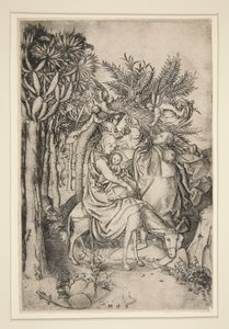 The Flight into Egypt, from the series Life of the Virgin
