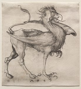 The Griffin by Martin Schongauer