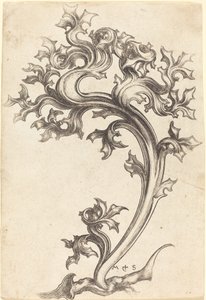 Thistle Ornament by Martin Schongauer