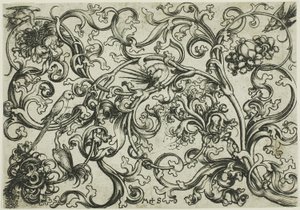 Vine Ornament with Parrots and Birds by Martin Schongauer