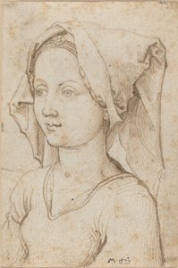 Young Woman Wearing a Scarf