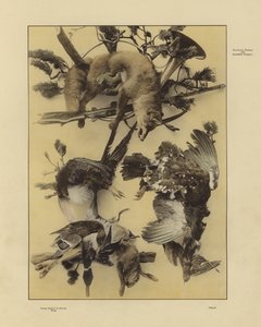 One of Martin Gerlach’s Festons and Decorative Groups by Martin senior Gerlach