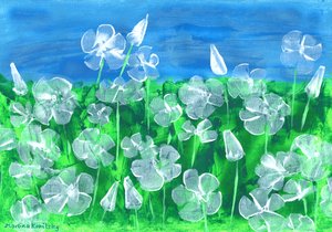 White Mallow