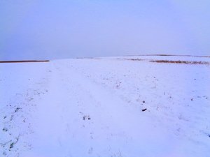 Fields in Winter