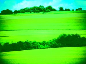 Landscape Green