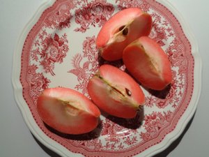 Porcelain Plate by Villeroy and Boch with Red Apple