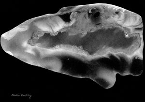 Black Agate by Martina Konitzky