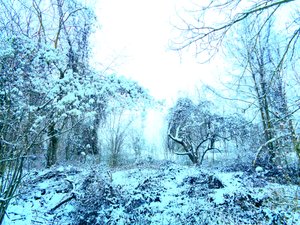 Winter Blue