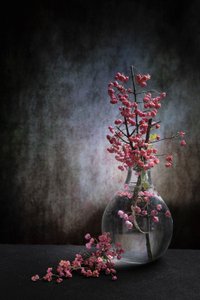 Pink Berries Still Life by Martine Benezech