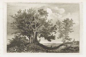 Path Between Two Rows of Trees