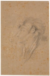 Study of a Youth and a Bearded Old Man