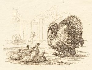 Illustration for 