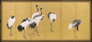 Cranes
