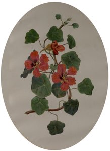 Nasturtiums by Mary Dakeyne Townroe