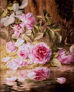 Blairie Roses by Mary Elizabeth Duffield