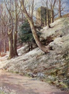 Scottish Gardens: Ardgowan