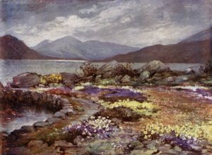 Scottish Gardens: Corrour