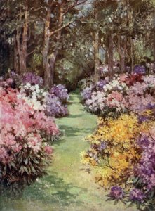 Scottish Gardens: The Hirsel