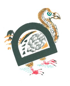 D is for Dodo by Mary Kuper