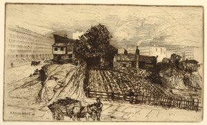 A City Farm, New York