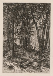 Interior of a California Forest after Thomas Moran by Mary Nimmo Moran