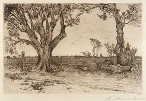 Old Lindens - Near Easthampton by Mary Nimmo Moran