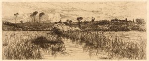 The Haunt of the Muskrat