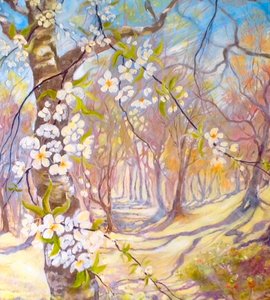 Big Blossoms in the Spring