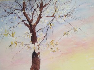 White Cherry Blossom by Mary Smith