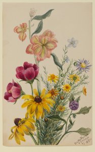 Group of Flowers