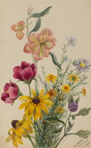Group of Flowers, 1881