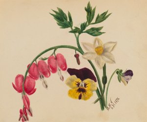 Untitled--Mixed Flowers