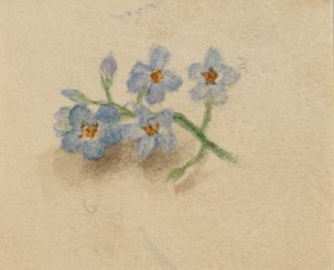 Untitled, 1874 by Mary Vaux Walcott