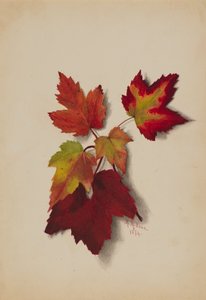 Untitled Autumn Leaves, 1874