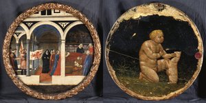 Birth Tray