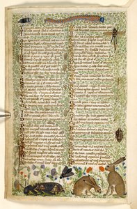 Rabbits and insects, including a caterpillar, dragonfly, and a moth, from a Treatise on the Virtues and Vices, and an anonymous prose history of Sicily (fragment)