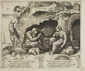 Apuleius Changed into a Donkey