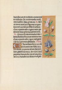 Hours of Queen Isabella the Catholic, Queen of Spain: Fol. 111r by Master of the First Prayerbook of Maximillian